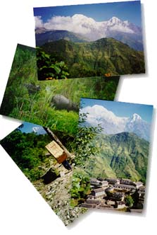 Nepal - Nature